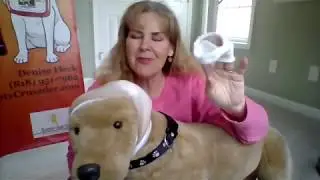 4 23 18 Ear Bandages