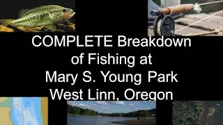 FISHING BREAKDOWN of Mary S Young Park in WEST LINN, OR | TIPS & TRICKS | Bass, Panfish, and MORE