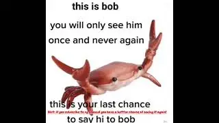 Hi Bob!