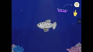 My Sketched Fish Moves | Simply Draw