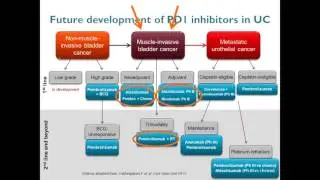 Highlighting Clinical Trials: Advanced/Metastatic Bladder Cancer (Part II)