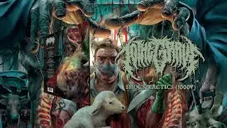 TO THE GRAVE - Shock Tactics [1000V]  [Official Stream]