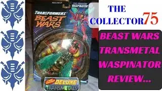 Transformers Beast Wars Transmetals WASPINATOR Review