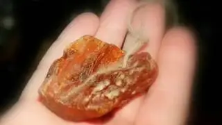 Land of Amber   A song for Latvia