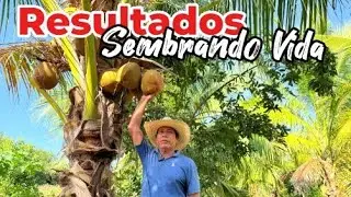 Resultados Sembrando Vida