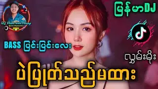 ပဲပြုတ်သည်မထား Remix '' Bassပြင်းပြင်းလေး Techno Mix 2026 '' DJ Than Tun Aung Music Production 🔊🔊