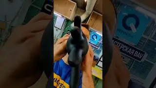 Одноразки просто бомба👍🔥. АвтомастерскаяBAV