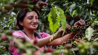 Coffee Alliance For Excellence Program Celebrates World Environment Day