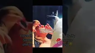 old clips of Taylor being annoyed withher mom's dog #taylorswift #traviskelce#cats #swifties #tayvis