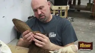 The Wildlife Gallery Custom Taxidermy Studio