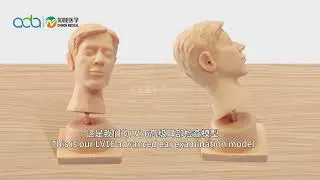 BIX-LV16   Advanced Ear Examination model