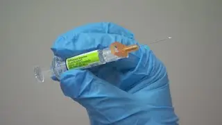Flu symptoms at all time high, local pharmacist weighs in | 28/22 News