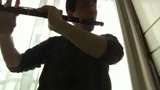 (Reels) Castle Kelly, Father Kelly's - Flute