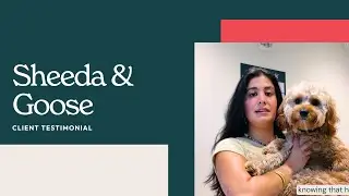 Sploot Veterinary Care: Sheeda Testimonial &ndash; Goose