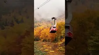Cannon Mountain Aerial Tramway #travelshorts