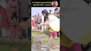 MLA Bandaru Sravani Sri in Paddy fields | TDP | CBN | Lokesh Nara