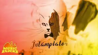 The Motans - Intamplator (TIKTOK VERSION)