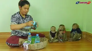 Four Little Baby Kako Luna Olly & Lisa Waiting Milk