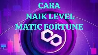 CARA NAIK LEVEL DI MATIC FORTUNE