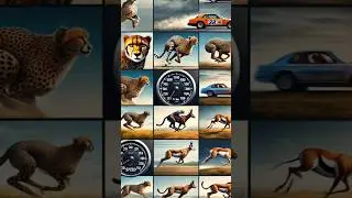 Duniya Ke 2 Sabse Tez Daudne Wale Animals #AnimalFacts  #Cheetah #LearnAndExplore #kidslearning