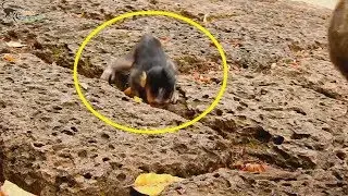 Pity cute baby Maddix mom leave cos hungry | Maddix scare run to call mom s0 fast.
