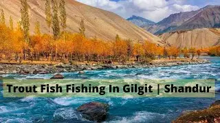 Trout Fish Fishing In Gilgit | Shandur | Lashpur River | Vlog In Winter