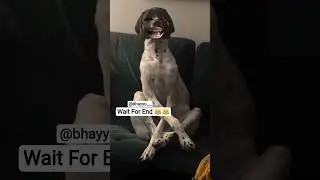Modi Ji Famous Dialogue  #funny #comedyshorts #comedy