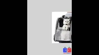 Bubble Backpack Carrier for Cats
