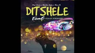 (DITSHELE) feat Vocalist African kidd 