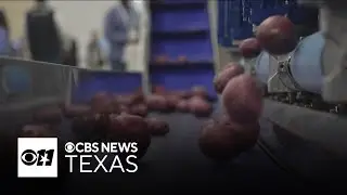 The biggest party you've never heard of: the Potato Expo in DFW