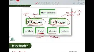 Microbiology Lec.1 Introduction لطلاب الصيدلة