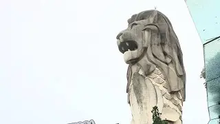 Singapore virtual (low budget shop & Japanese Vibes)