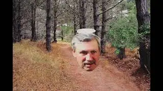 Woodland Friends