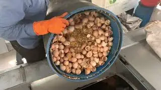 Trial processing of SUGUNA&rsquo;S hatchery waste at Waste IS Gold Technologies factory , Banaglore