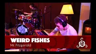 Weird Fishes - Mr. Fitzgerald (Spiral Sessions)