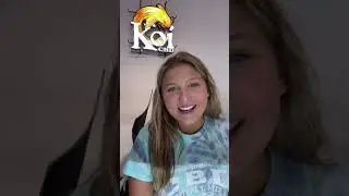 CBD Honey Sticks 25mg Each 10 Flavors to Choose