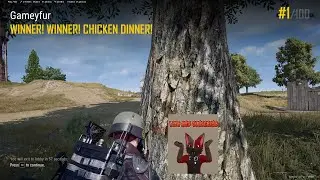 Thirtieth win baby!   #pubg #gaming