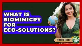 What Is Biomimicry For Eco-solutions? - Explaining Ecology