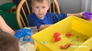 Weather sensory bins
