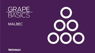 Grape Basics: Malbec