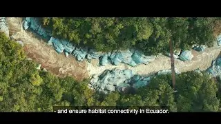 Hempel Foundation X WWF in CELS ecological corridor - Ecuador 