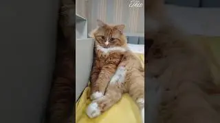 Все думают, что он милашка&hellip;Everyone Thinks He&rsquo;s Sweet