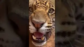 Oh No! 😱