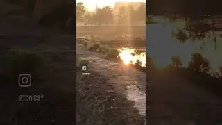 Suasana pagi di desa