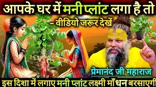 🤑 💰 🤑 Vastu tips for money plant in home || Vastu tips for which direction to grow money plant || 🤑💰