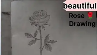 Sundar Rose Sketch 🌹 | Easy Drawing