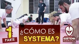 &iquest;COMO ES SYSTEMA? - SYSTEMA EN ARGENTINA  - PARTE 1