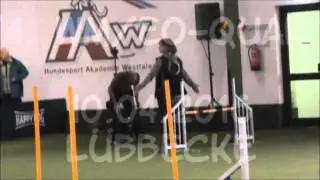 3.+4. WM/EO-Quali 2016 - Ralf Siewert & Zo&eacute;