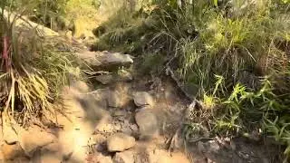 Bull Hill Mount Taurus Short Loop Hike Highlights
