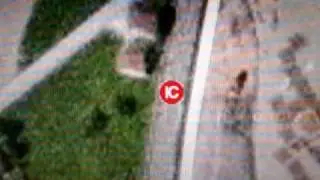 SBB  IC   BRITTNAU -  WIKON  bis  WAUWIL